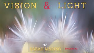 Vision & Light 12: Alister Benn & Sarah Marino