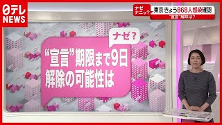 【解説】「新型コロナ」“緊急事態宣言”期限まで残り9日…解除の可能性は？（2021年1月29日放送「news every.」より）