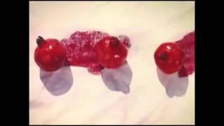 Arm Floaties Night Swim By Blkshrk