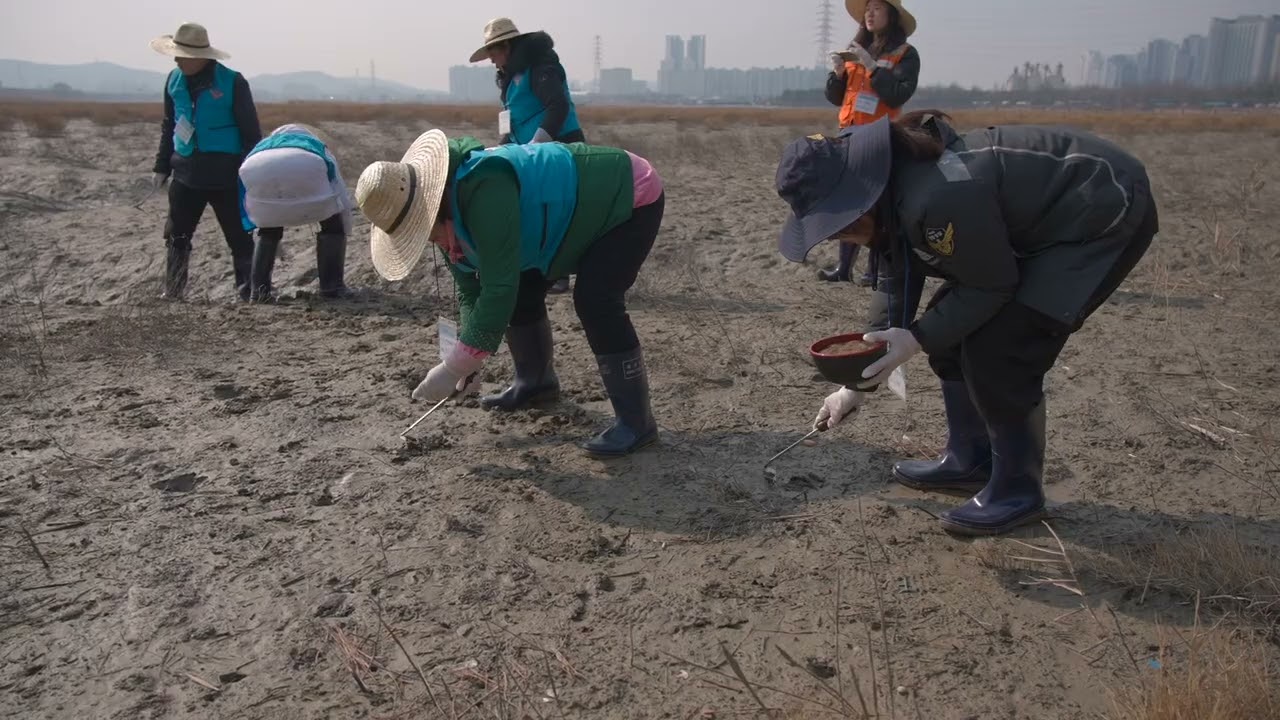 2026년 파종 영상