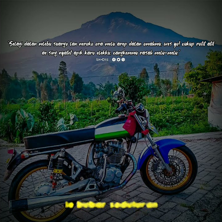 CB PALESTINA_STORY'WA 30DETIK //STORY'WA TERBARU //LITERASI HEREX