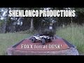 kyosho foxx dusk run led light action