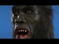 Brandon's Cult Movie Reviews: Mighty Peking Man