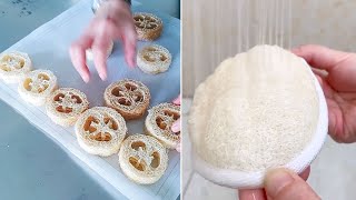 The Best Sustainable Products | Best Loofah Products | Loofah Sponge DIY