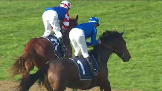 Tom Kitten wins at Up and Coming Stakes at Rosehill