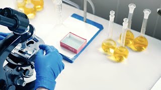 Ohio State Pancreatic Cancer Researchers Studying Association with Obesity