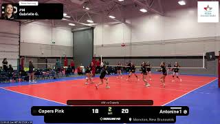 Antonine 1 vs. Capers Pink (2026.05.17)