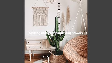 Dashing Moods for Fine Fusion