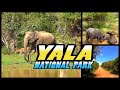 YALA NATIONAL PARK Safari - Sri Lanka (4K)