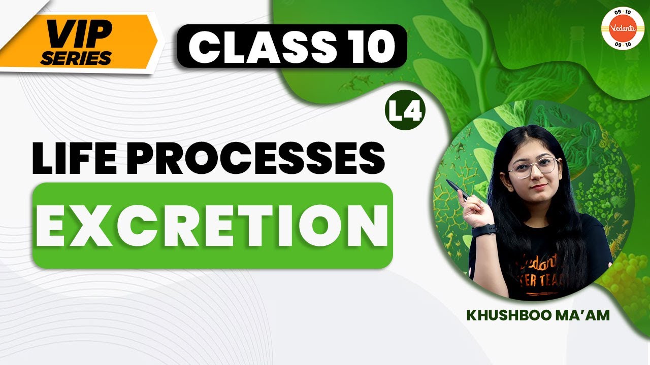 VIP Series Excretion PYQs Life Processes Class 10 NCERT Class 10 Vip series excretion pyqs life processes class 10 ncert class 10