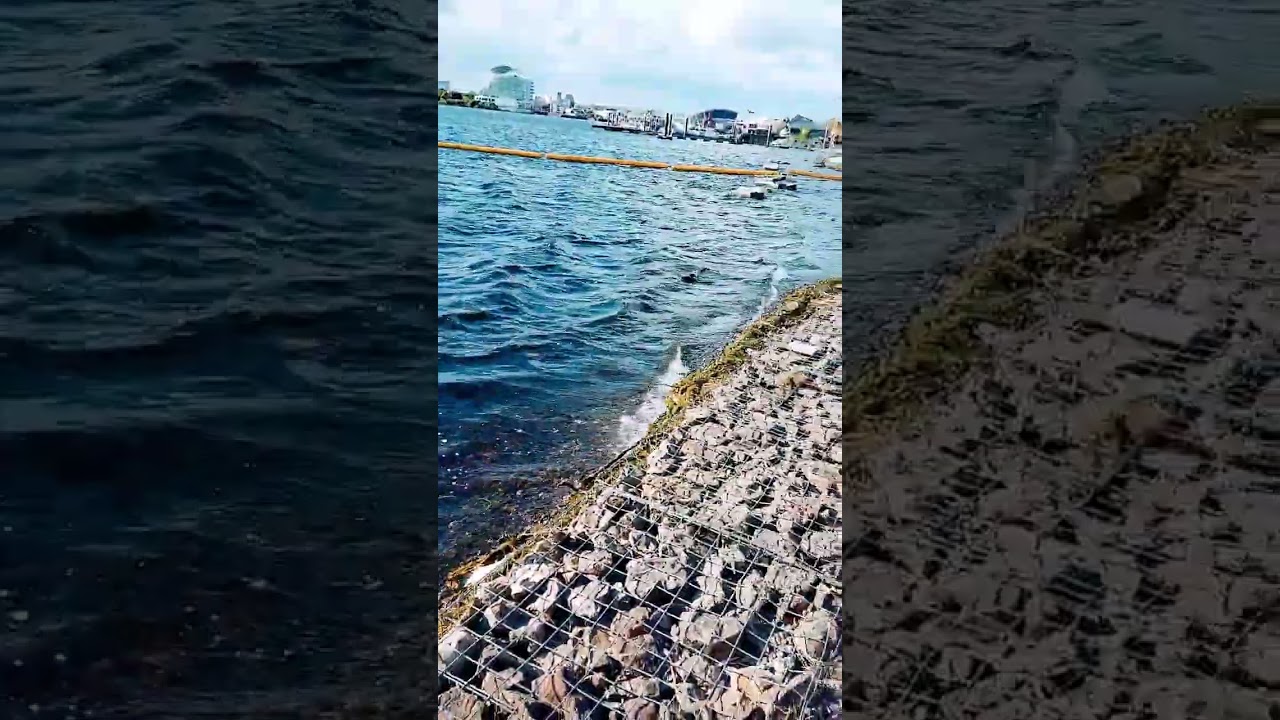 🌊Cardiff Bay, Barrage