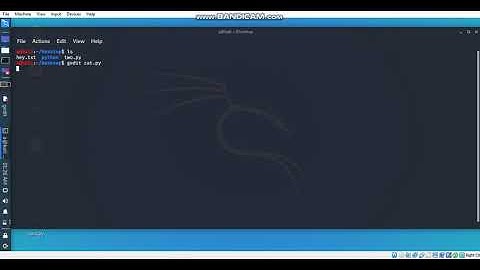Kali linux Python Run command and first program in GEDIT