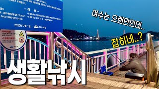 여수 생활낚시 포인트에서 낚시? 해봅시다(원투낚시/볼락낚시) by 풍산개TV 21,908 views 2 months ago 22 minutes