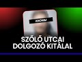 Kitálalt egy szőlő utcai dolgozó, aki a következmények miatt anonimitást kért