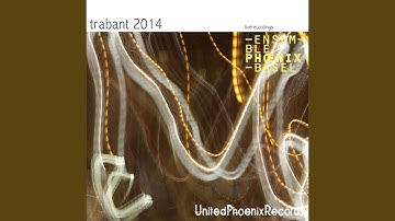 Vladimir Guichef Bogacz: Estudio Anatómico (Live)