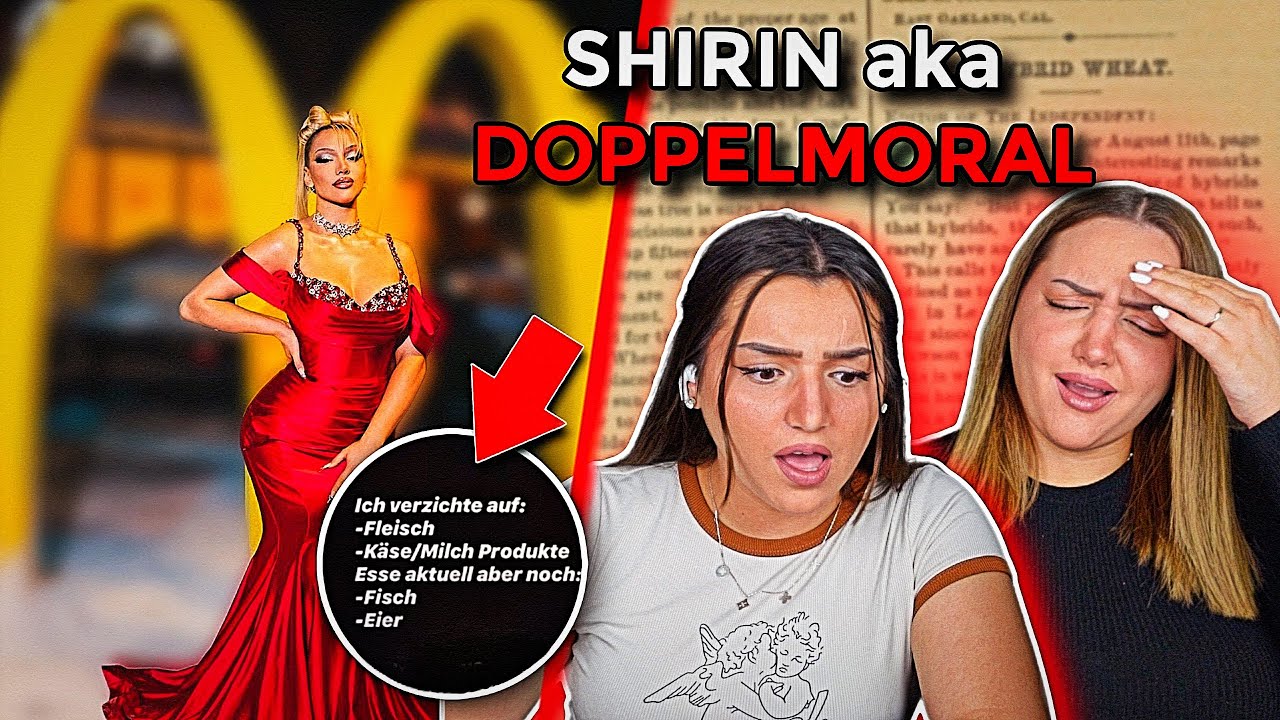 Sie Kommen An Sagen Shirin Das Ist Echt Kurz Shirin David‘s Statement macht alles nur noch schlimmer.. - YouTube