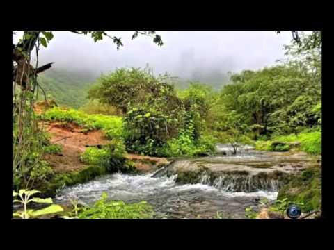 الهبايب نسنست والروح خفت 