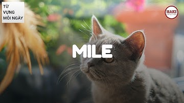 MILE | Phát âm - Giải nghĩa - Ví dụ | Từ vựng tiếng Anh