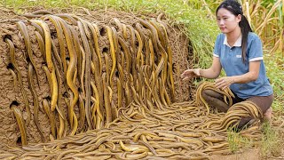 Harvesting 1000Kg Giant Eels From The Swamp And Selling Them At Market Rural Life In The Mountains