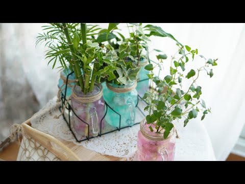 미세먼지 제거를 위한 테이블 연출 I 유리잔과 수경식물 I 젤리소일 ⛵ Glass bottle & Plants 