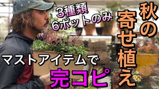 【完コピ】主役級マストアイテムで作る秋の寄せ植え