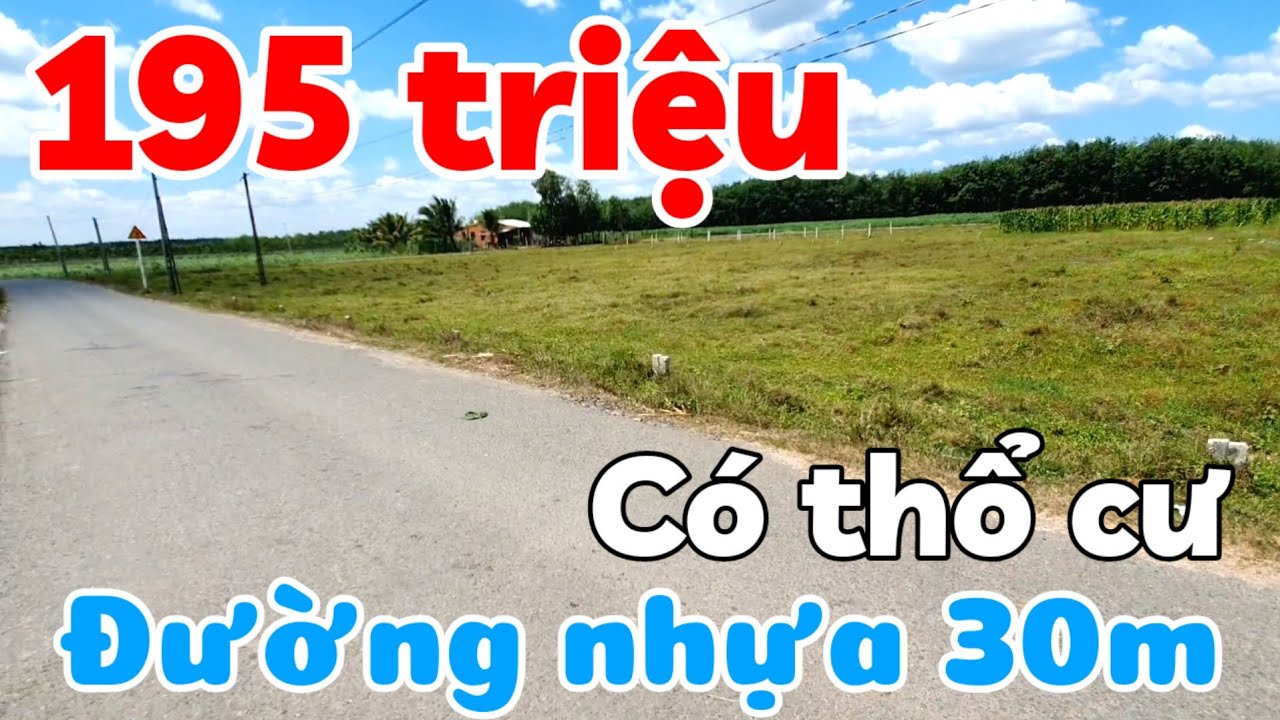 Bán 7 lô đất đường nhựa 5x40 có thổ cư giá 195 triệu sổ hồng riêng ở Thạnh Bình Tây Ninh