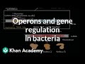 DNA Regulation: The Key to Gene Expression and Cellular Function