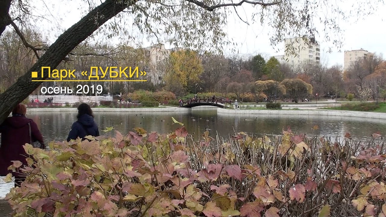 Дубки видео. Дубки видео. Дубки видео. Дубки видео. Парк дубки оренбург.