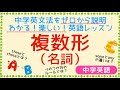 【中学英語】中学英文法を単元ごとにわかりやすく説明していきます！「名詞の複数形」とは？