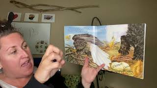 My Little Book of Bald Eagles