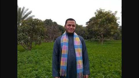 الشيخ محمود صابر الفيومي سورة السجدة من امريكا