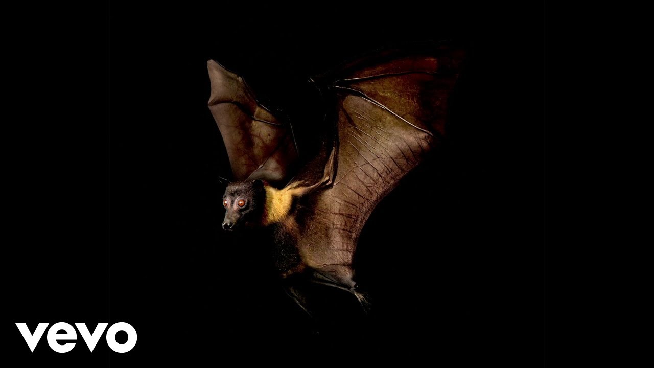 Holy Holy - Ghosts (Official Visualiser) auf YouTube ansehen