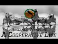 Sociable Weavers - A Cooperative Life