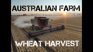 Wheat Harvest 2020 | Australian Farm