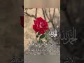 صور دينية صور دينية