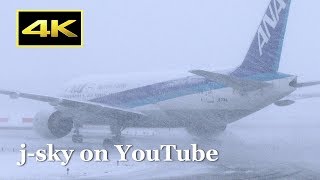 [4K] Heavy Snow! 1 Hour Plane Spotting at New Chitose Airport in Winter / 雪の新千歳空港 JAL ANA