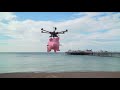 Marathonbet's Pigs Can Fly - YouTube