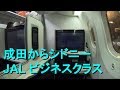 名古屋 - 成田 - シドニー JAL クラスJ & ビジネスクラス 2/2