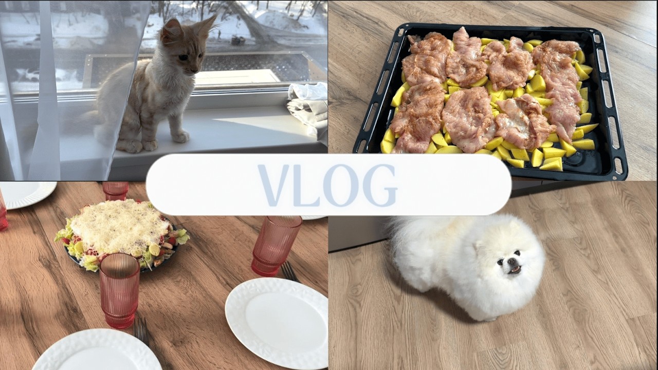 VLOG: День в кругу семьи. Груминг Шона