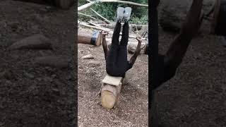 I DARE YOU TO TRY THIS #chest #abs #combo #workingout #exercise #different#unique#motivation#energy