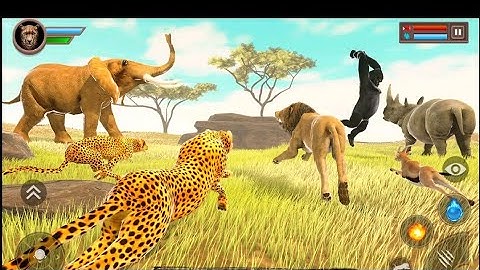 Cheetah Simulator 🐆Part 1(Android-Gameplay)#Gluten