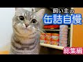 飼い主の缶詰を、猫に自慢したらこうなりました笑