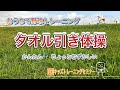 おうちで野球トレーニング【背臥位】　「タオル引き体操」　かんたん～ちょっとむずかしい 《コアスタビリティトレーニング 腰椎前彎アーチつぶし 伸展型腰痛予防》　毎日のルーティーン