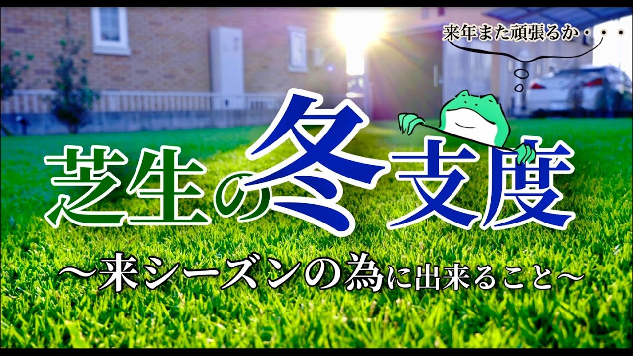 凄い芝生用除草剤シバゲン メリット ビフォーアフター 使い方 芝生 Tm 9 庭 Youtube