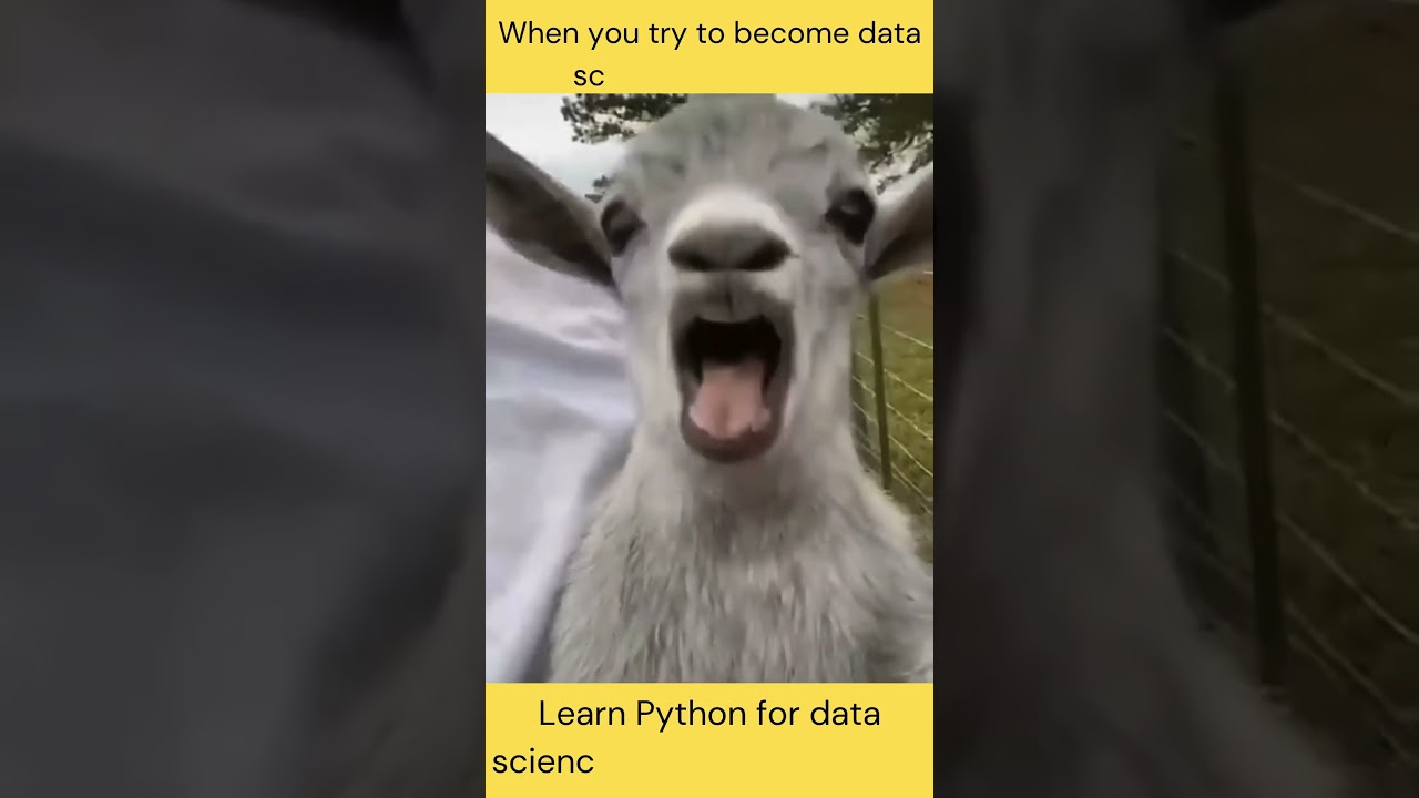 Learn Python for Data Science #python #datascience #numpy #pandas