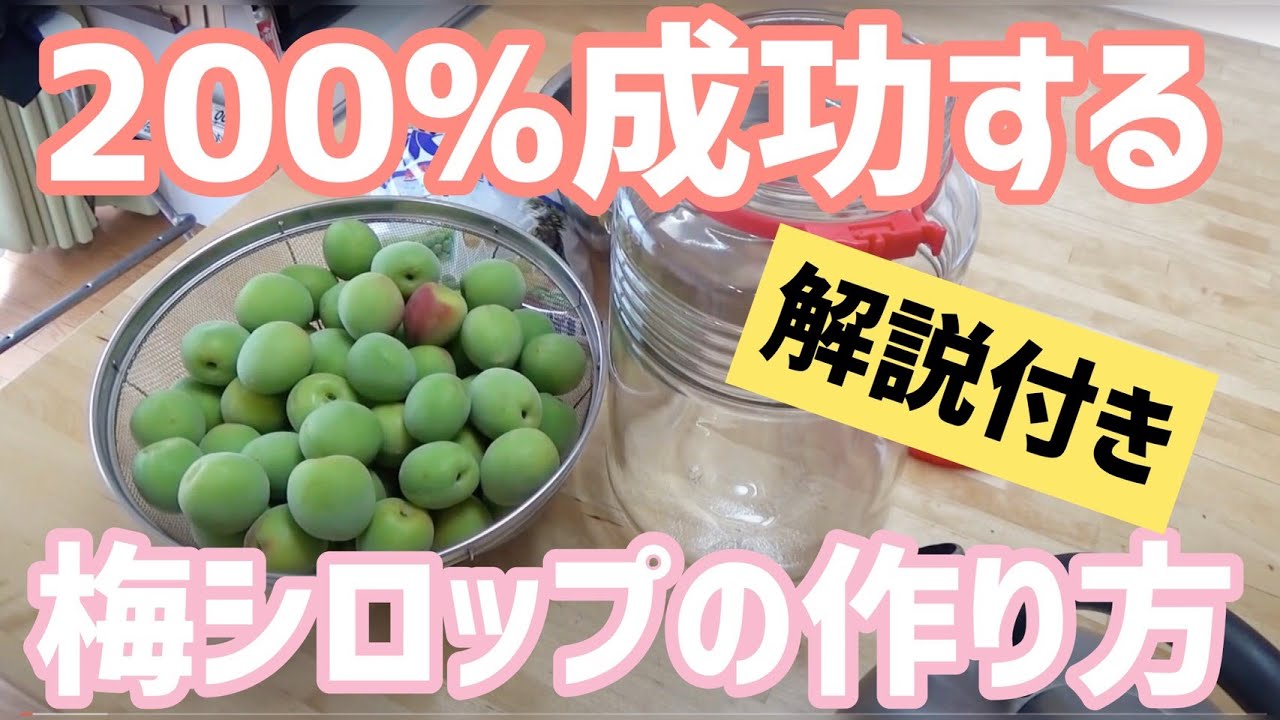 解説付き 美味しい梅シロップの作り方 手作り Youtube