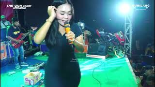 THE VICH MUSIC - ASMARA 2 - FEBI PESEK - PEMUDA BIRAWA WATES BERSATU DERMOLO KEMBANG JEPARA