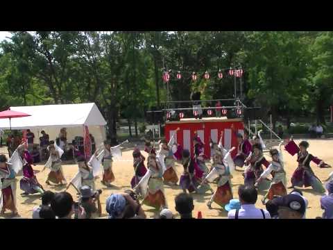 「浪花乱風」①　こいや祭り2015