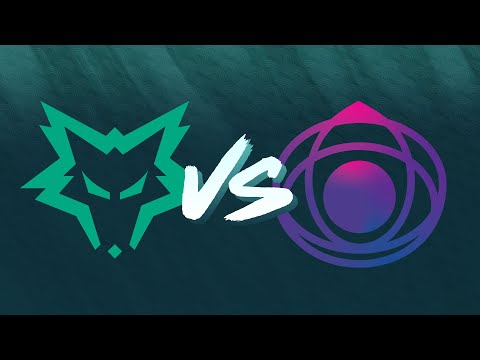 Dire Wolves vs ION Global Esports Game 2 | Day 1 Week 2 | LCO Split 1 2024
