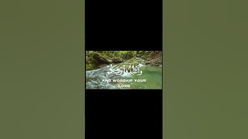 تلاوة عطرة من سورة الحج للشيخ عبد الرحمن مسعد | Jawaher El Wahy